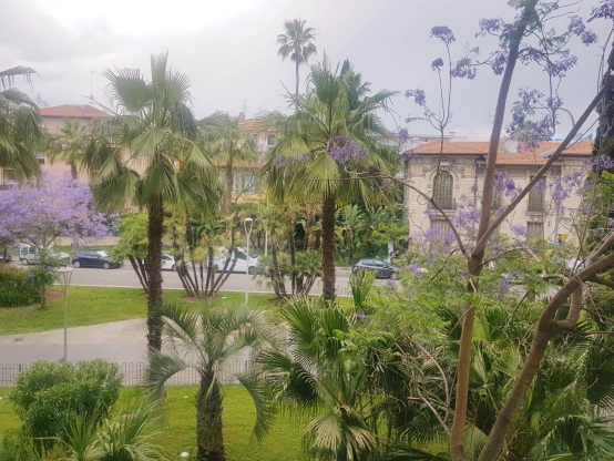 L'IMMOBILIERE NICOISE